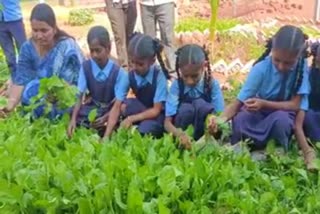 Beautiful hand garden at Yakatapura School