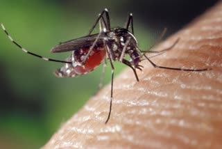 To Detect Malaria in Seconds News