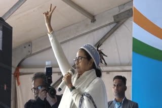 Mamata on Meghalaya Polls