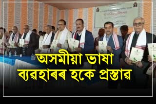 Tinsukia Sahitya Sabha Conference