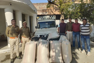 illegal doda saw dust seized in Chittorgarh