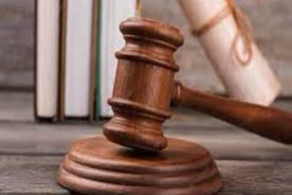 Chittorgarh POCSO Court Order