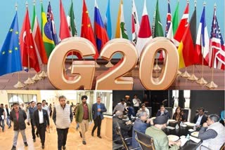 G-20 Summit