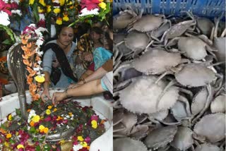live crabs Offered Shivling