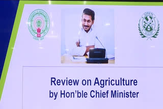 CM YS Jagan Review Meet