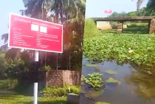 kasargode check dam project stopped  kasargode rubber check dam  development in kerala  india institute of water management  water authority  latest news in kasargode  latest news today  റബർ ചെക്ക് ഡാം പദ്ധതി  പിലിക്കോട്  അധികൃതരുടെ അനാസ്ഥ  ആദ്യ റബർ ചെക്ക് ഡാം പദ്ധതി  ജനസേചന വകുപ്പ്  വികസന പാക്കേജ്  കാസർകോട് ഏറ്റവും പുതിയ വാര്‍ത്ത  ഇന്നത്തെ പ്രധാന വാര്‍ത്ത