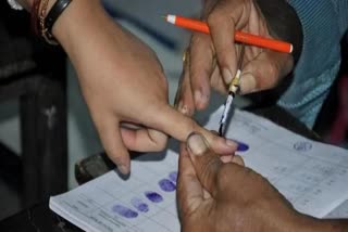 Assembly Elections