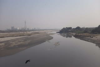 यमुना नदी में प्रदूषण
