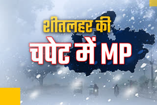 Cold Wave in MP