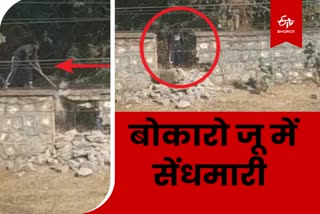 thieves-broke-boundary-wall-of-zoo-in-bokaro