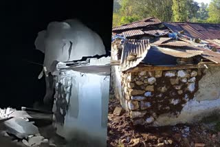 wild elephant arikomban  wild elephant attack  wild elephant arikomban attack  idukki panniyar estate ration shop elephant attack  idukki panniyar estate ration shop  elephant attack  latest news in idukki  latest news today  വീണ്ടും റേഷന്‍ കട തകര്‍ത്ത് കാട്ടാന  കാട്ടാന ആക്രമണം  പന്നിയാർ എസ്‌റ്റേറ്റില്‍  അരിക്കൊമ്പന്‍  അരിക്കൊമ്പന്‍ എന്ന കാട്ടാന  പത്തോളം പേരുടെ ജീവനെടുത്ത കാട്ടാന  ഇടുക്കി ഏറ്റവും പുതിയ വാര്‍ത്ത  ഇന്നത്തെ പ്രധാന വാര്‍ത്ത