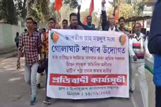 Tea workers demands land patta