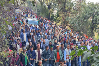 closure of the cement plant in himachal