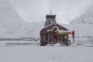 kedarnath snowfall today