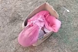 Dead body of the deceased child