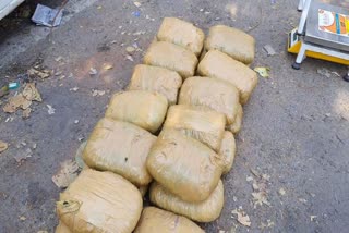 Ganja Seized In Sambalpur:  ସମ୍ବଲପୁର ଶାସନ ଅଞ୍ଚଳରୁ ପୁଣି ବିପୁଳ ପରିମାଣରେ ଗଞ୍ଜେଇ ଜବତ