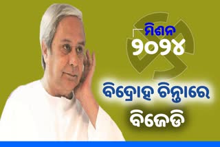 ୨୦୨୪ ସାଧାରଣ ନିର୍ବାଚନ