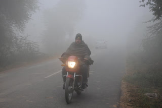The India Meteorlogical Department (IMD) Thursday said that cold wave conditions prevailed in pockets of south Haryana, east Rajasthan, north Madhya Pradesh and Bihar on Thursday