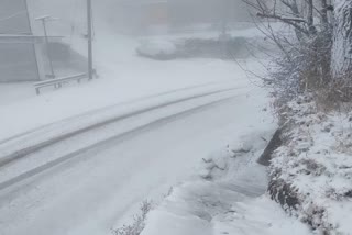 Traffic affected due to snowfall in Shimla