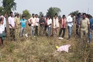 elephant attack in kalahandi