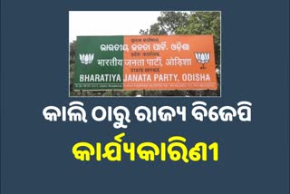 Odisha BJP State Executive Meet