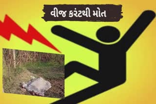 Electrocution Death : કંબોલામાં ખેતરમાં કરંટ લાગતા ખેડૂતનું મોત, બે દીકરીઓએ પિતાની છત્રછાયા ગુમાવી