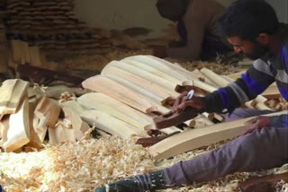 Cricket bat industry in Kashmir  इंग्लिश विलो  बल्ला निर्माता कंपनियों का भविष्य खतरे में