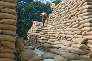 Farmers upset in paddy procurement center in Korea