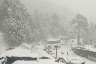 Nature rolls out snowy carpet in Uttarakhand's Rudraprayag