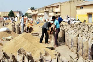 Dhan kharidi record in chhattisgarh