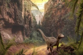 Researchers found more than 250 Fossilized Eggs of Titanosaur at Lameta Formation