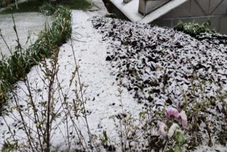 Snowfall in Uttarakhand