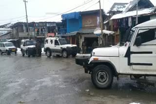 search operation in shopian