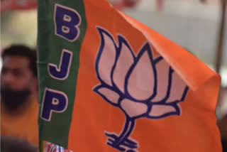 Top BJP leaders to fan out to different parts of K'taka for Vijaya Sankalpa Yatra