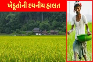 Farmers Problems સંઘર્ષ વચ્ચે પણ ખેડૂતોએ બચાવ્યો પાક, છતાં પોષણક્ષમ ભાવ ન મળતા આવ્યો રોવાનો વારો