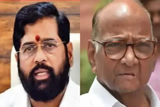 Sharad Pawar often calls me up to give advice