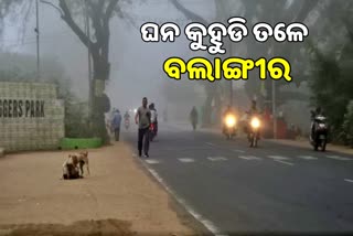 Dense Fog in Balangir