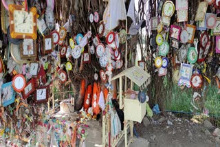 Clock tree in Madhya Pradesh