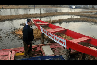 First bird forest resort Kashmir's Dal Lake; feeds of variety of birds