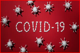 COVID - 19 Effects