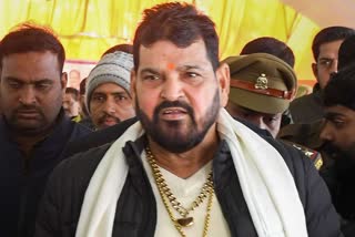 Brij Bhushan Sharan Singh