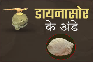 Dinosaur Eggs In Madhya Pradesh