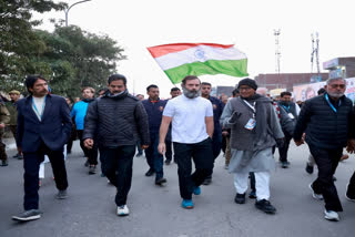 Rahul Gandhis Bharat Jodo Yatra resumes from Vijaypur