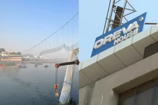 Morbi Bridge Collapse: Arrest warrant issued against Oreva MD Jaysukh Patel