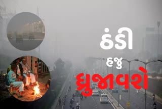 Gujarat weather: ઠંડીનું જોર વધ્યું, આગામી બે દિવસ કોલ્ડ વેવની આગાહી