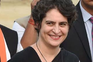 Priyanka Gandhi in Ranthambore