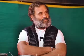 Rahul Gandhi shares his thoughts on marriage  Rahul Gandhi s interview on Curly Tales  Rahul Gandhi  Rahul Gandhi about his Marriage  Rahul Gandhi about his life partner  Bharat Jodo Yatra  Rajiv Gandhi  Indira Gandhi  Congress  രാഹുല്‍ ഗാന്ധി  ഭാരത് ജോഡോ യാത്ര  പങ്കാളിയെ കുറിച്ചുള്ള സങ്കല്‍പം പങ്കുവച്ച് രാഹുല്‍  രാഹുല്‍ ഗാന്ധി വിവാഹ സങ്കല്‍പം  ഇന്ദിര ഗാന്ധി  രാജീവ് ഗാന്ധി  രാഹുല്‍ ഗാന്ധിയുടെ ഇഷ്‌ട വിഭവം