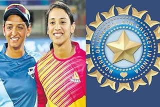 WIPL Team Bid BCCI set for another 4000 cr windfall
