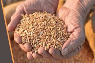 No fee for lifting food grains in Jharkhand