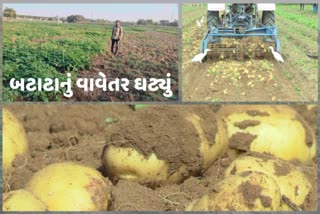 Potatoes Planting ડીસામાં બટાટાને લાગ્યું ગ્રહણ, 4 વર્ષના ઉત્પાદનને જોઈ ખેડૂતોનો પણ થઈ ગયો મોહભંગ